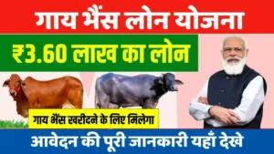 Gaay bhains Loan Yojana