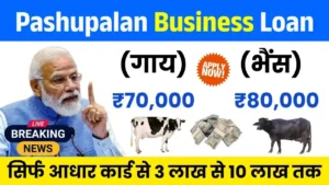 Pashupalan Business Loan